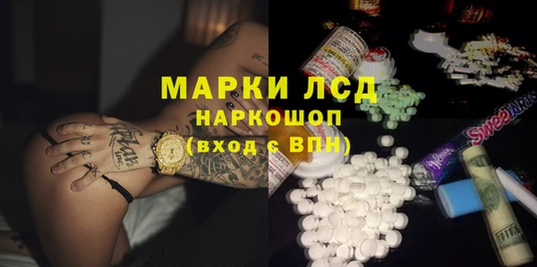 шишки Осинники