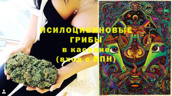 шишки Осинники