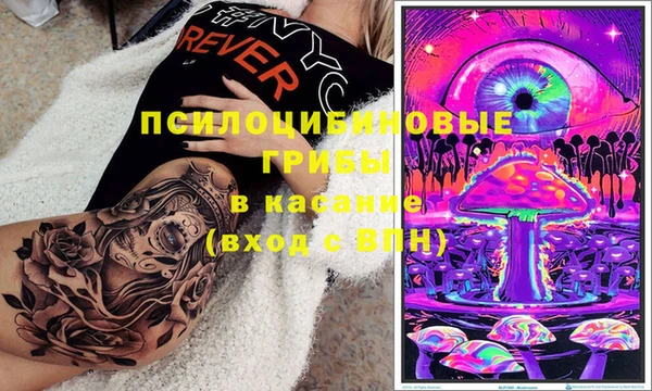 гидропоника Нягань