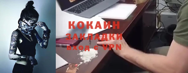 шишки Осинники