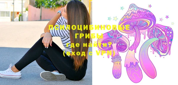 spice Няндома