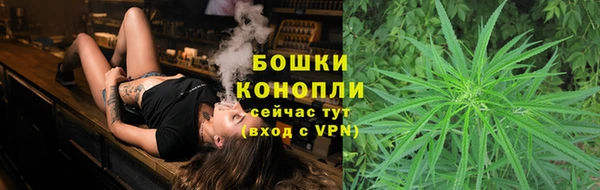 гидропоника Нягань