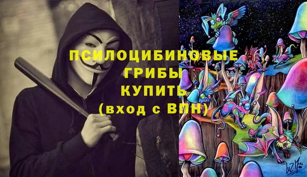 spice Няндома