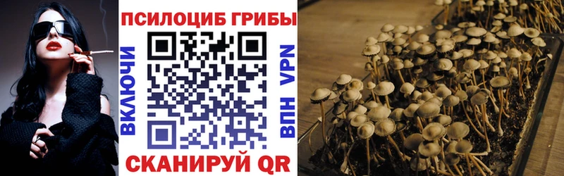 цены   Суоярви  Псилоцибиновые грибы Psilocybine cubensis 
